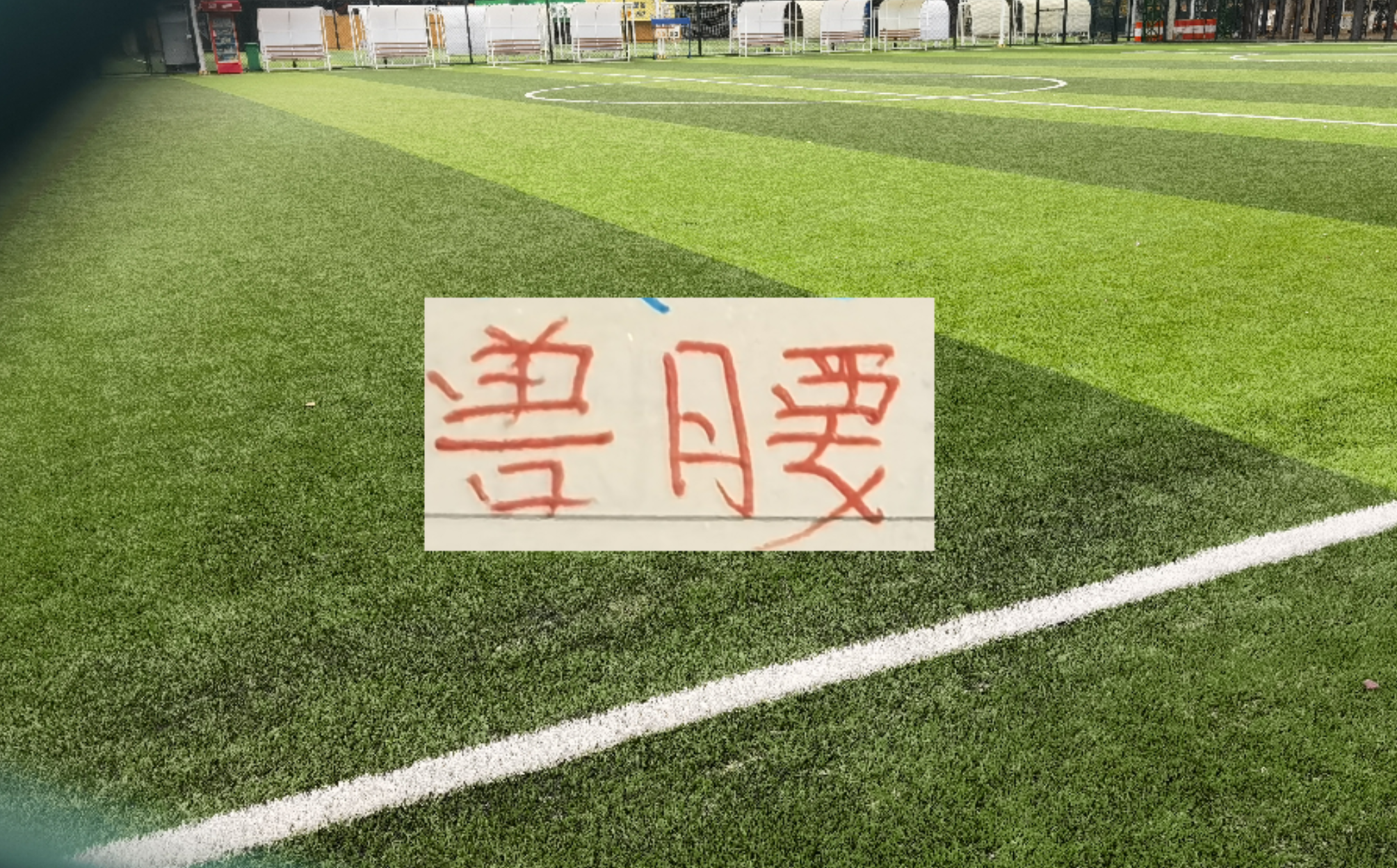 半岛体育下载-中超豪门后腰 海港跟北京国安非洲腰还需要时间验货